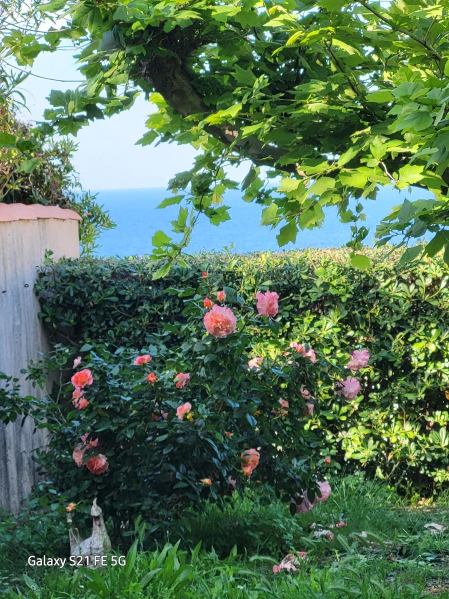 Bed and Breakfast Chez Isabelle Luri Exterior foto